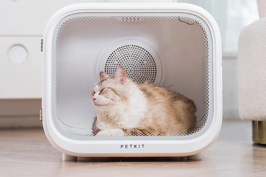 The Evolution of Pet Grooming: Introducing the Modern Pet Hair Dryer