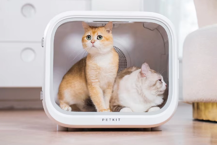 Transforming Feline Grooming with the Innovative Cat Hair Drying Box